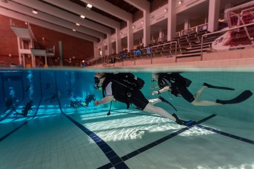 Try Scuba Diving in the Pool Designed by Alvar Aalto