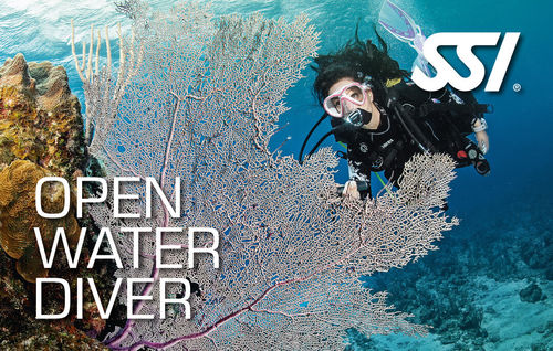 SSI Open Water Diver - Sukelluksen peruskurssi